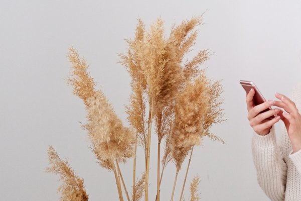 L'essence du japandi : harmonisez votre intérieur zen